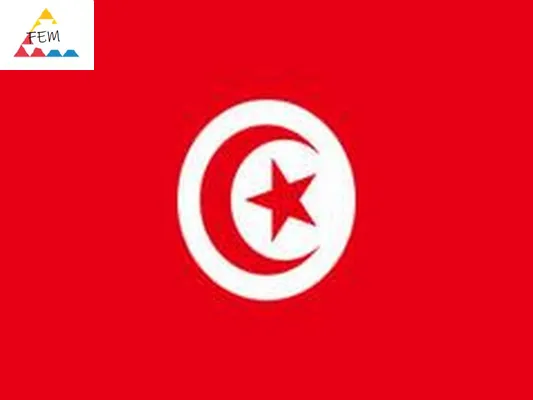   Obawy o tunezyjską demokrację, gdy Saied przeprowadza referendum